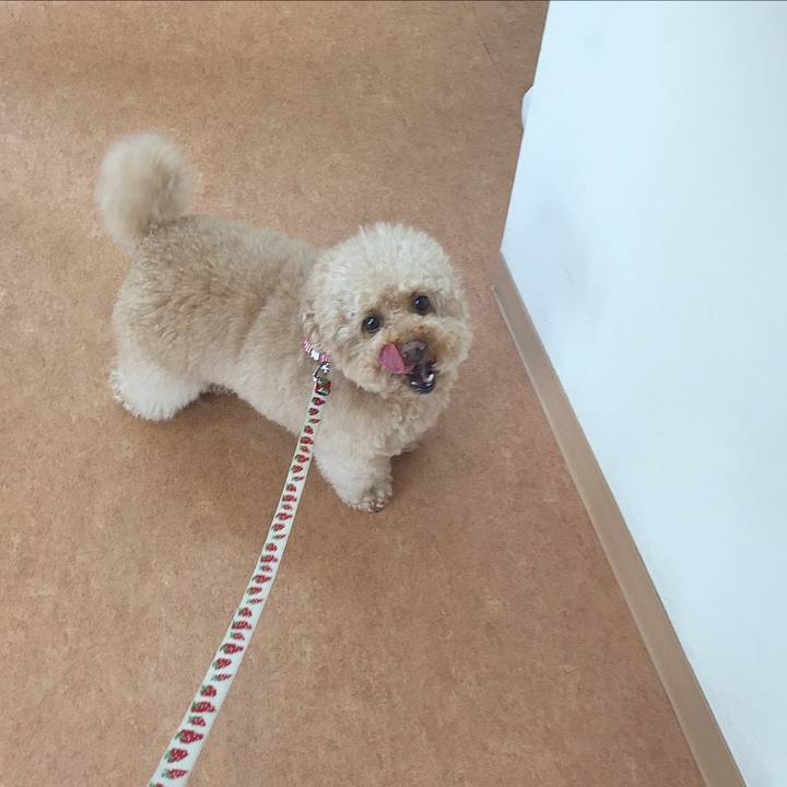 E2db8b6d 4170 47d2 92f9 6038502add98