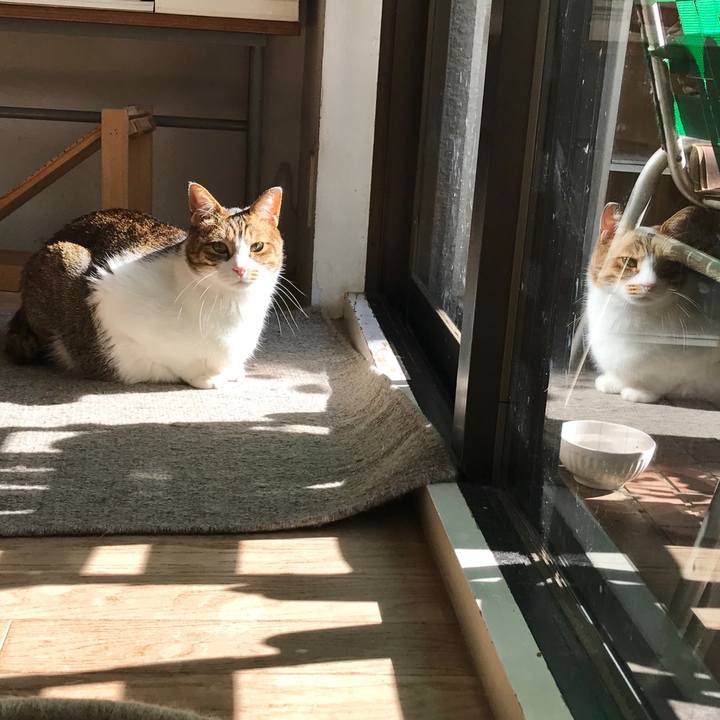 E2dbbeeb 930d 40be 895a adbb78077ff7