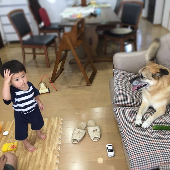 E2dbe67c 7456 47af b885 c7ac33350939