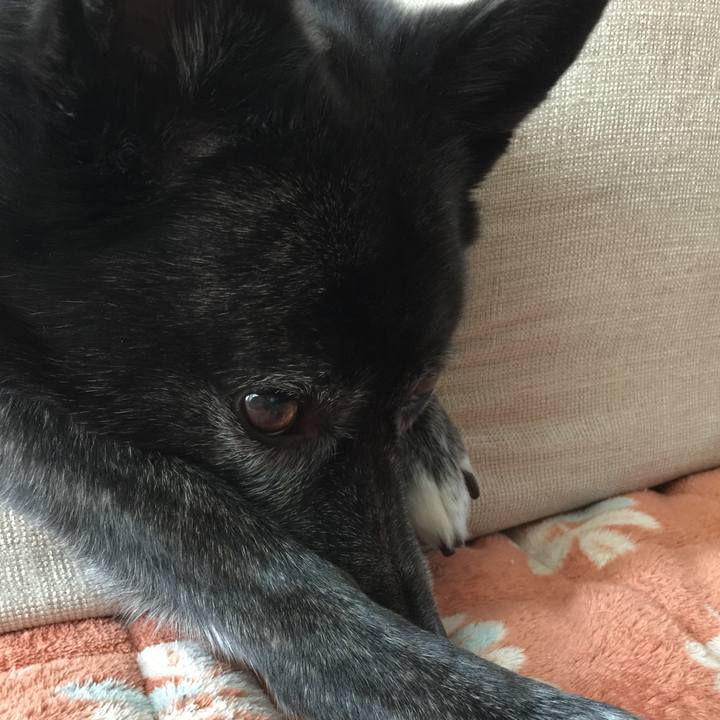 E2dca142 cf3e 4d81 ab3f 5dc164a76edc