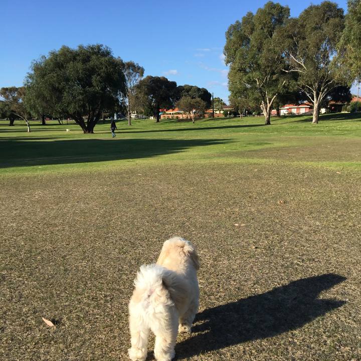 E2dd3f90 4936 4a00 90e0 a8aa47775bc8