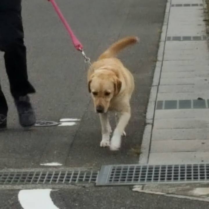 E2dd9dfd bffe 41ac a5b8 92faf94eaf78