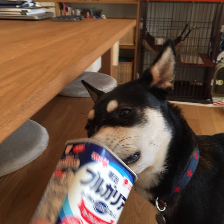 E2dddc17 ae52 4852 8456 e4d0c56d24ec