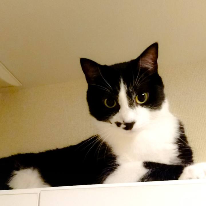 E2ddfd24 5b9f 47bf 8a4a 0d7fbc59e438