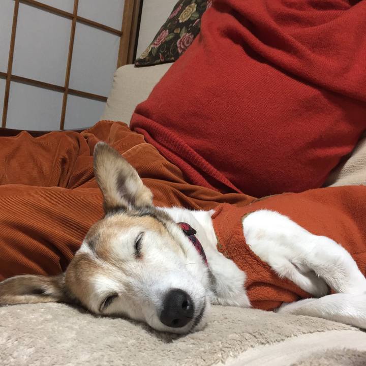 E2de6476 e002 4f2d af3c 2644ddd130bb