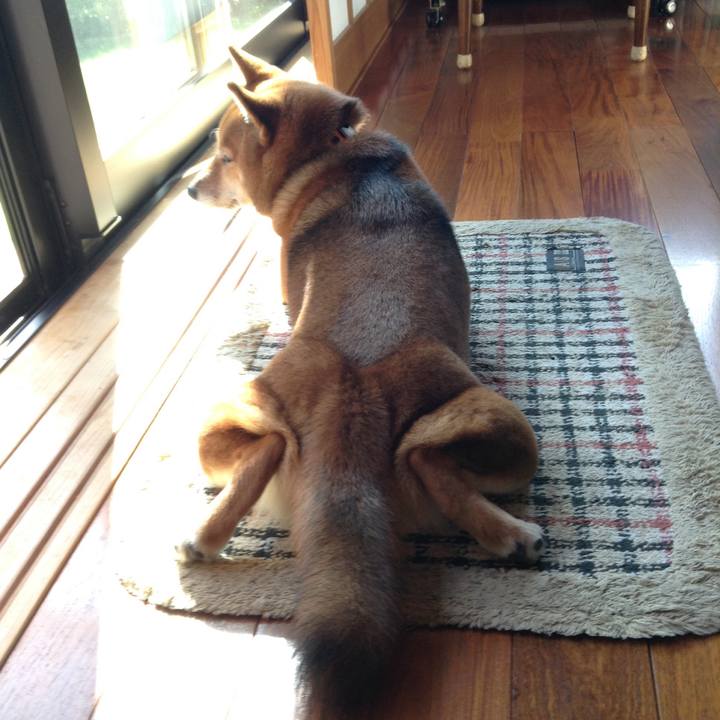 E2de99c5 7797 48ec 83ae d3963d1eb1af