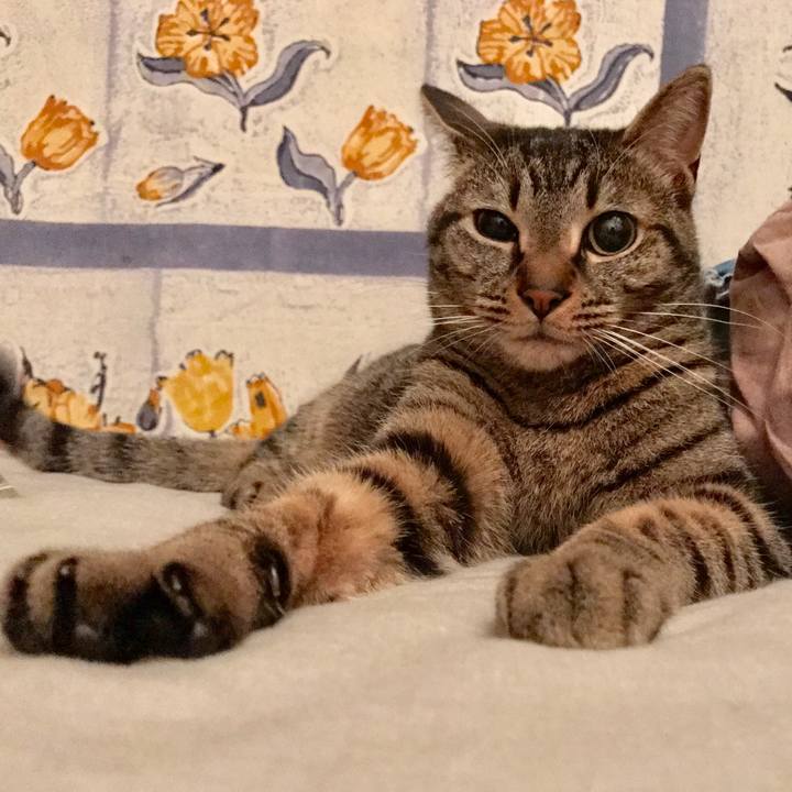 E2dee390 0c2a 481a a293 caa3f769fab8