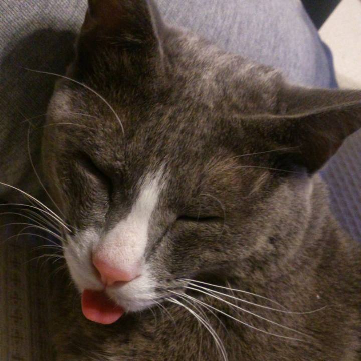 E2df6744 6e90 4107 8c5a 963af43bb185