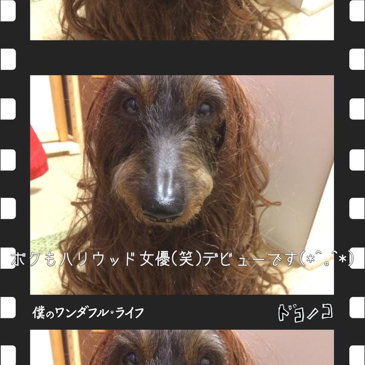 E2df9e00 ec70 4d5a bc6a 22ec49cc1f4d