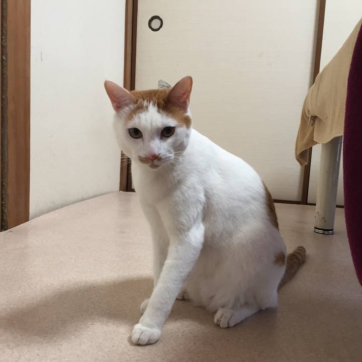 E2dfee63 3c7d 41fc abfd 0d7e649ad803