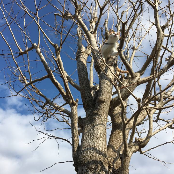 E2dff2cb 29bf 417f 9c88 29f46e2fc8fe