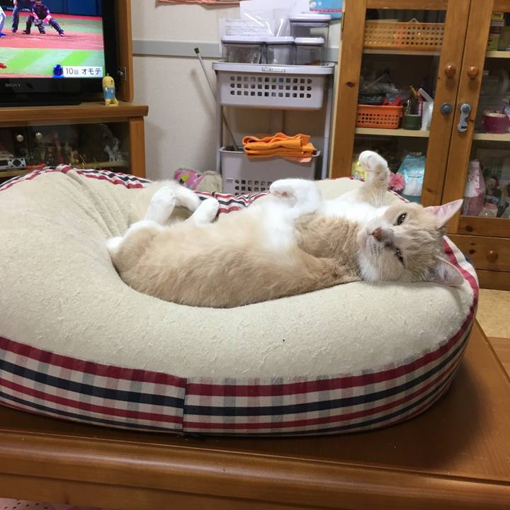 E2e0ab66 c27b 434f a679 caf0b0825ae9