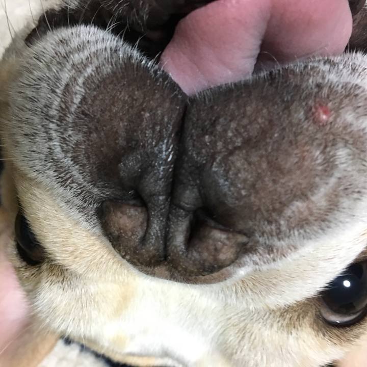 E2e112c1 6968 4716 a05e bea755582cd6