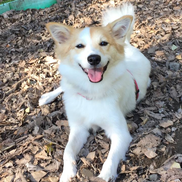 E2e1f3a4 91aa 436d b97b 19ee2cb306c1