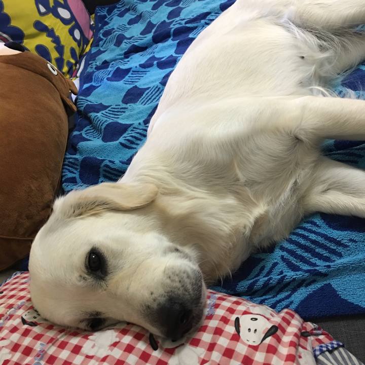 E2e264c2 8cd0 4eb7 9e95 da1e5229190e