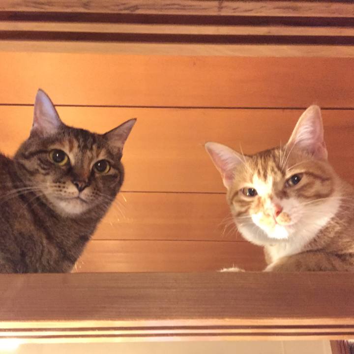 E2e384f9 99b4 4c0f 9ab6 33f28e48ce88