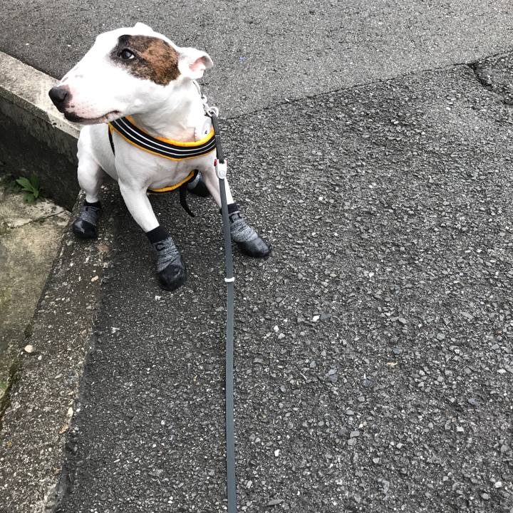 E2e3ae87 6ea0 4568 b65e 3b199e9fa048