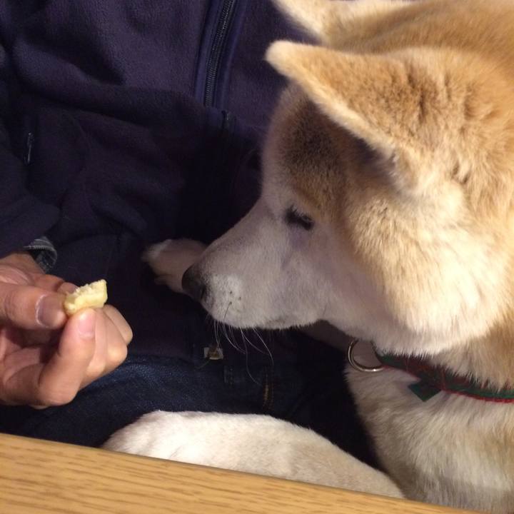 E2e3d66b 8fa4 45c2 ae22 1f21f935d138