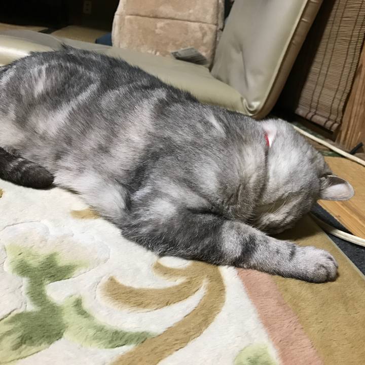 E2e400ec 84cf 4e52 9fdf 68d6e10ce9a8