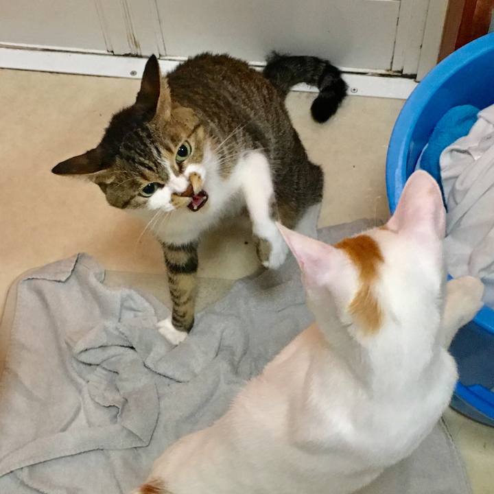 E2e43e45 b106 40e9 9bc1 d631f5e8156e