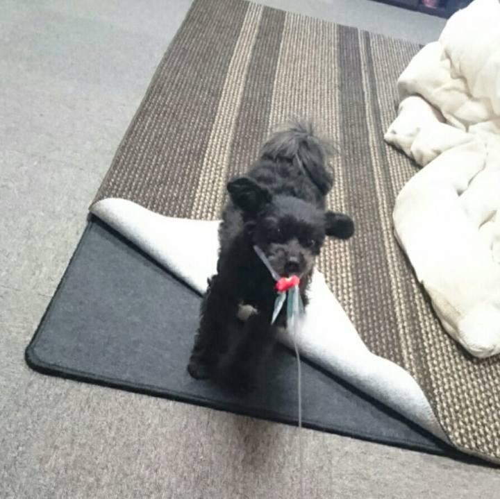 E2e45e85 216f 456b aae4 cbd636322484