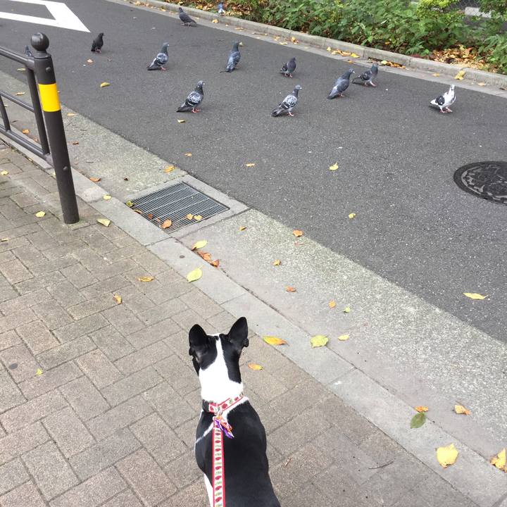 E2e517a7 8411 4ace 884c 582a1ab248d5