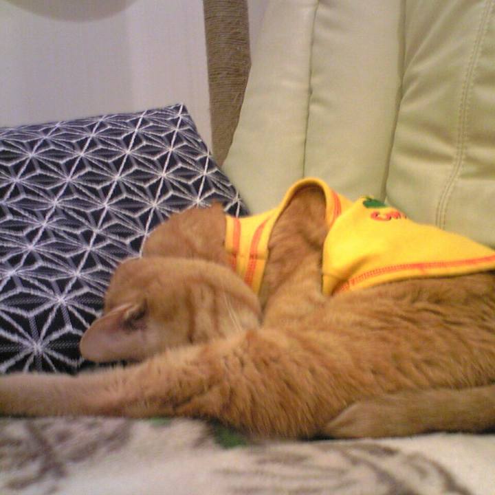 E2e51a40 899d 4653 b665 151a9167d25d