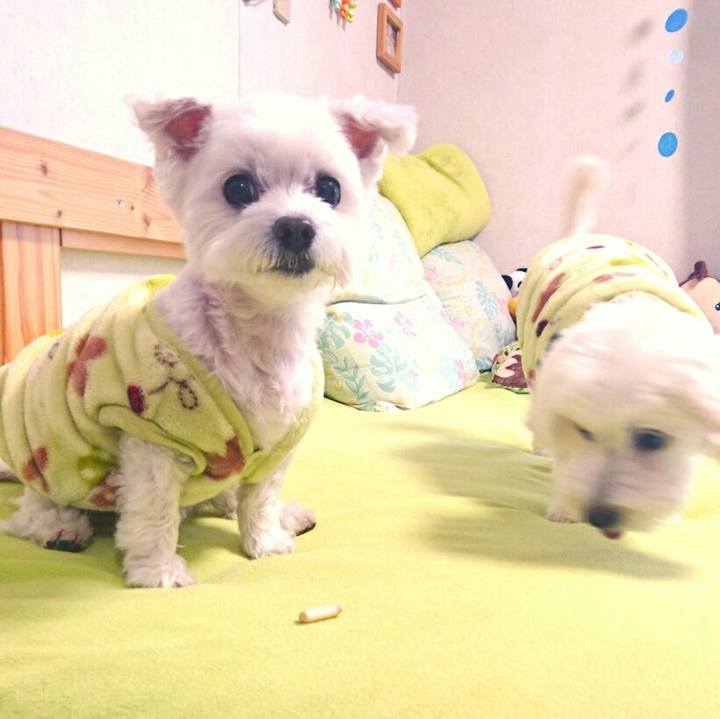 E2e55f45 fa60 448f 93b7 034a5283483d