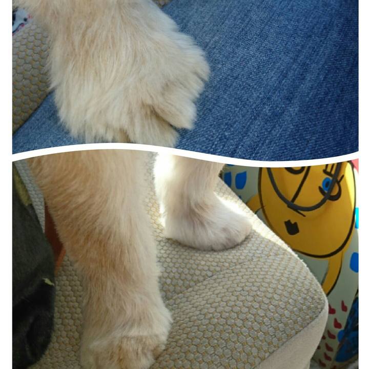 E2e5fcd4 a348 4634 b9fc b81ab27f5db2