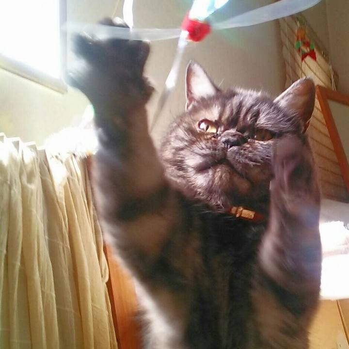 E2e64724 bade 4d3c 887b f11f44e23a74