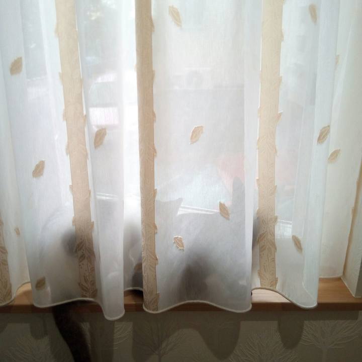 E2e7ee8f 4247 4421 ae8c 51969feecd47