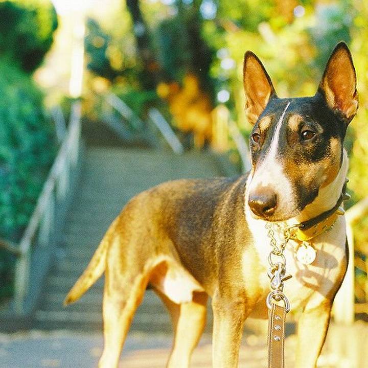 E2e884d9 8157 4e3f 9acc 5745bc73e3b1