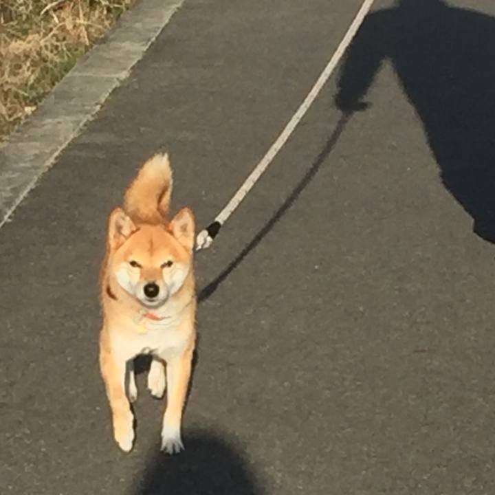 E2e8bc9a 160a 4f0b aad2 61d6851edc2c