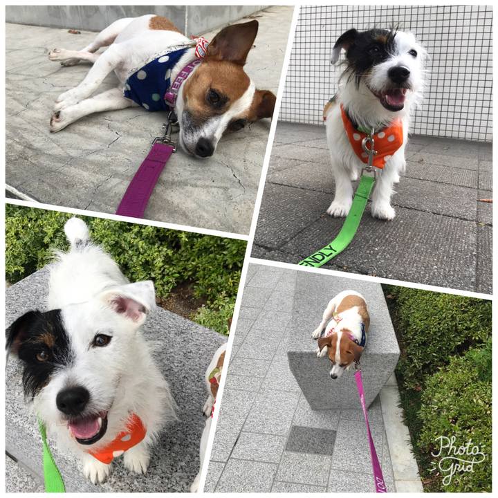 E2e93ff6 f9ea 4052 aa0b dd9110897667