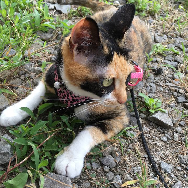 E2e94dbf b1dd 4b3a 800a 7d1afe5d7203