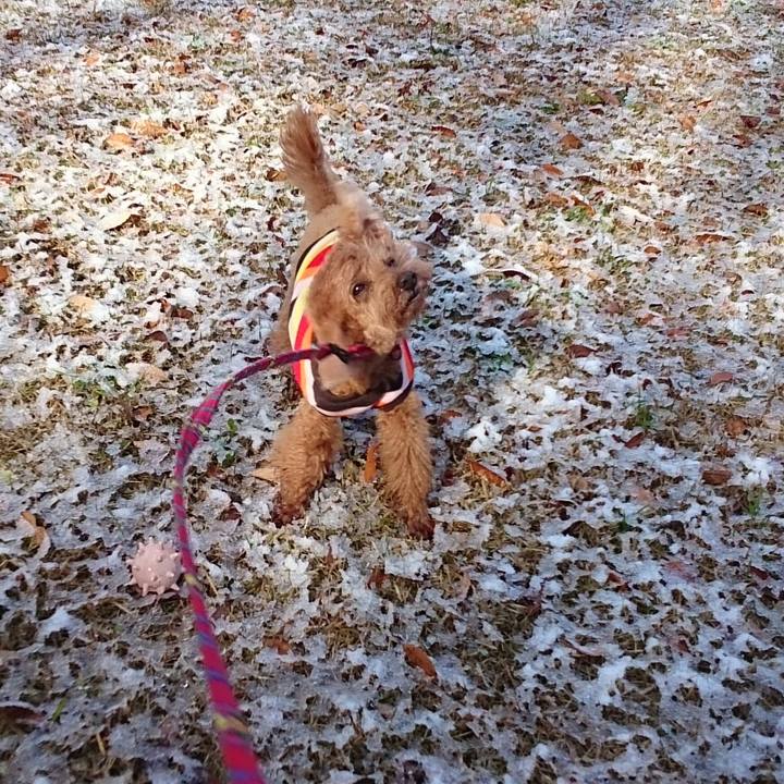 E2e96cbd 08fe 46f4 bfed 4150f8ef4566