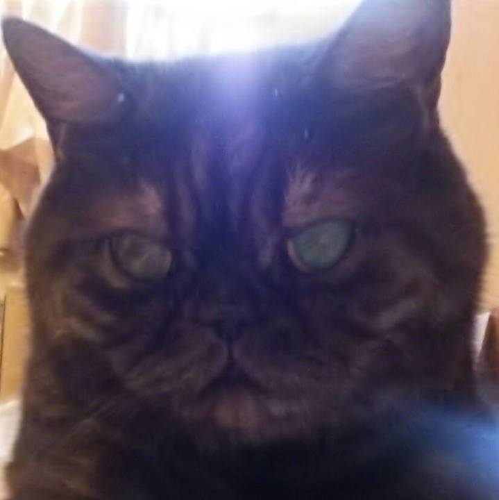 E2e99890 8726 4c16 a1dd 60956a471ee9