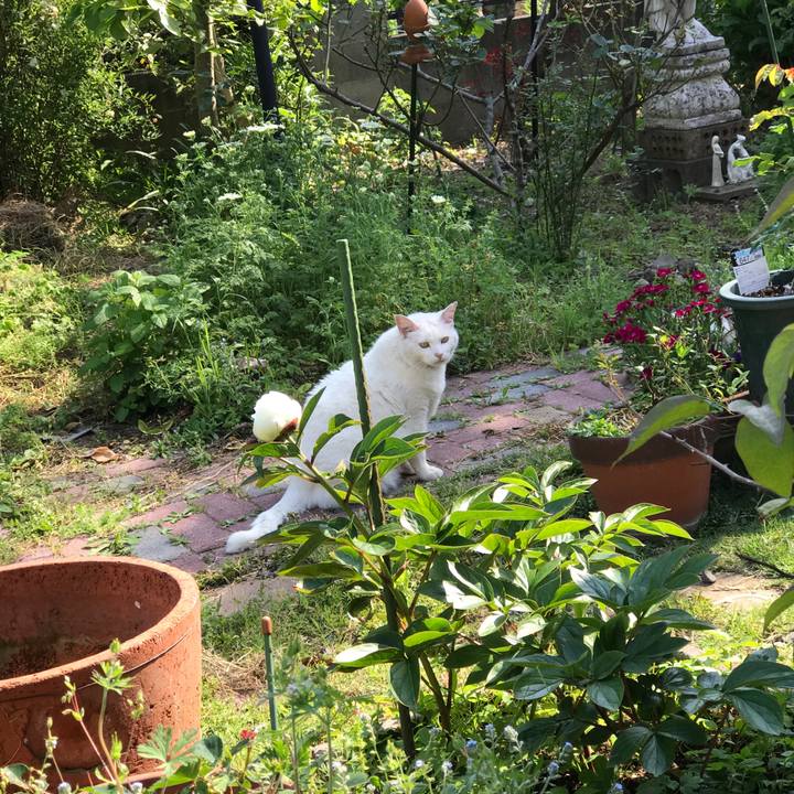 E2ead595 dc71 4e13 8f44 9fa05cb79b76