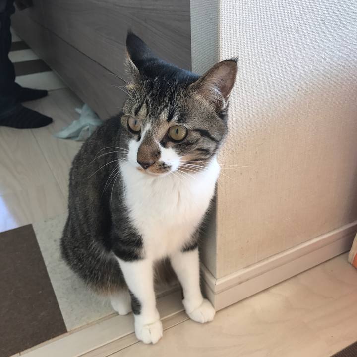 E2eb1387 16f3 482a b03e 8a3ee867cadc