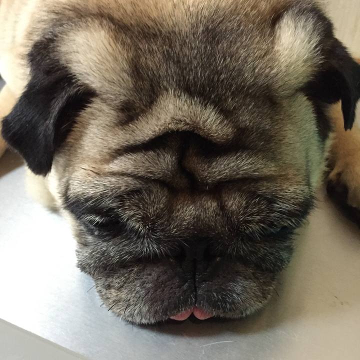 E2eb2811 4841 4868 b902 36f0edf6c414