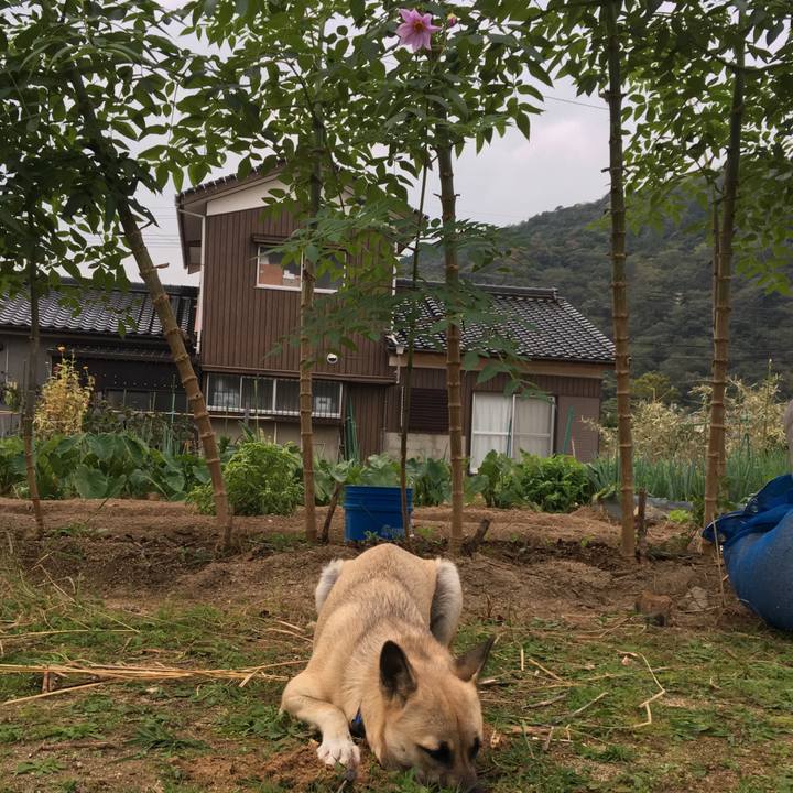 E2eb66eb 2213 43dd abed bd8291033eda