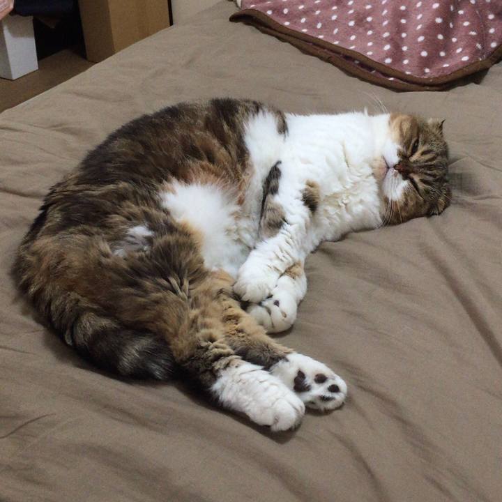 E2ec6344 fb1d 45eb b0e7 5141df92a2b2