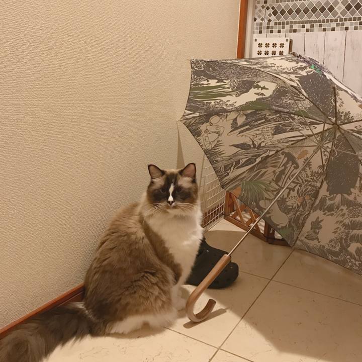 E2ecf28e 09f1 4476 abc8 b55d5a9b4d85