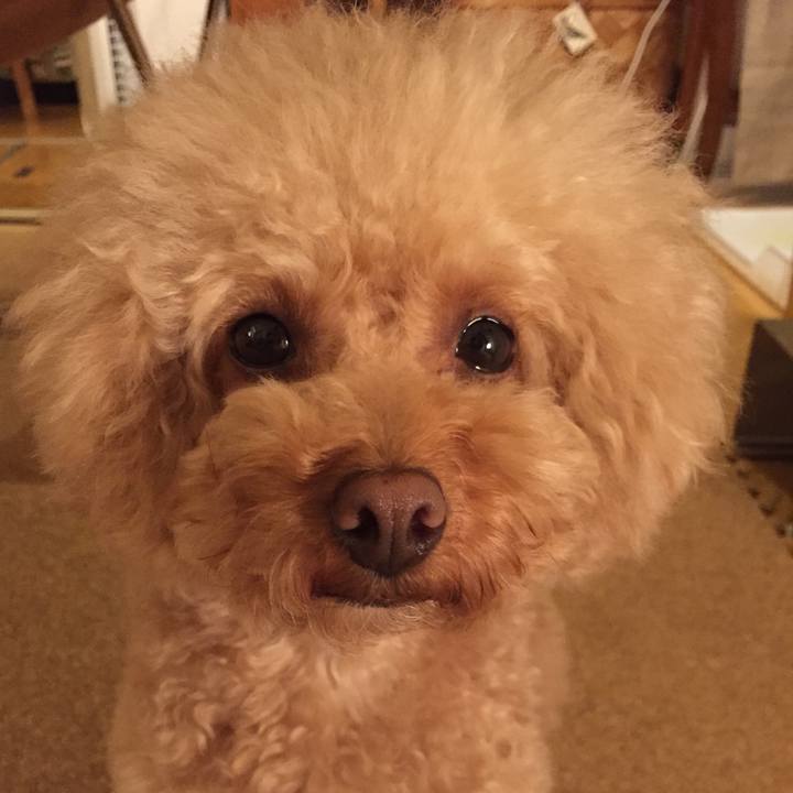 E2ed169b f1a2 4350 a0b6 5ff830df7e01