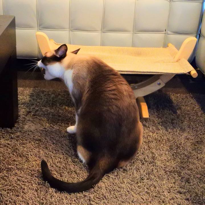 E2ed5a8a ec71 4b04 8079 7b86a6bcf194