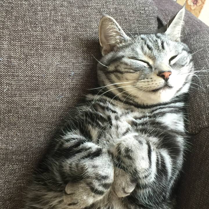 E2ee1ed4 9cec 44eb b092 97b60093c797