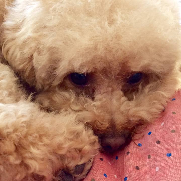 E2ef1bff 37f3 460f 8d14 ea502d8f3f98