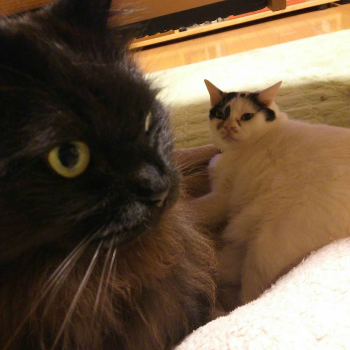 E2efa073 0398 45ae 814b 92a0eb4245d7