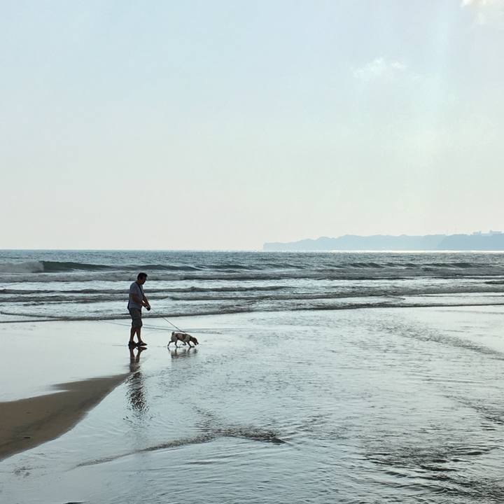 E2efac80 d3e6 41ee 9ea4 7319b4c41c03