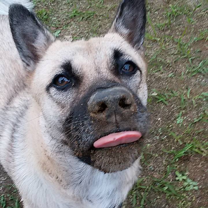 E2f0142d 15bf 4420 8b82 5bbe24fa0686